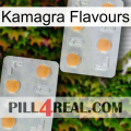 Kamagra Flavours 25